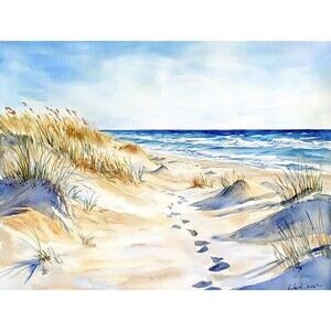Coastal Dune Path Canvas Print - 11 tall x14 wide